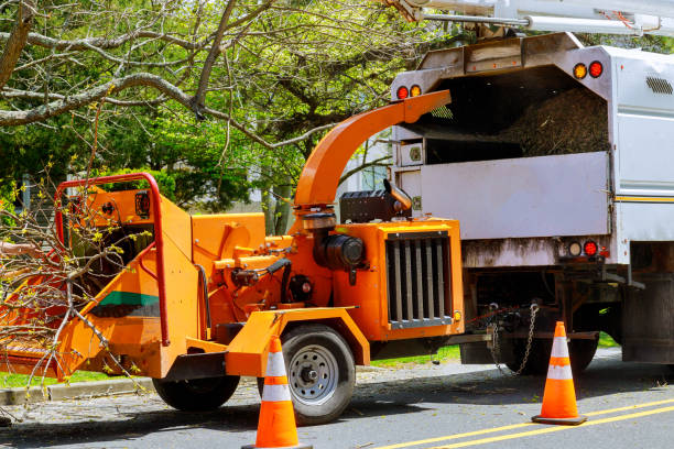 Lawn Drainage Solutions in Spring Valley, NY